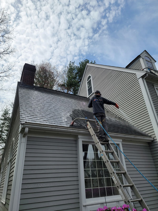 roof washing professional standing on ladder cleaning roof of gray home